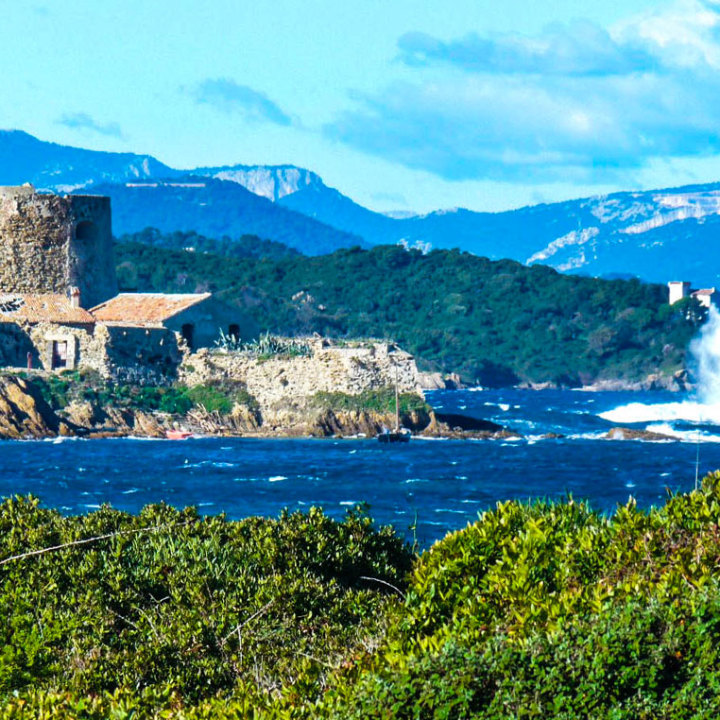 Les îles de Porquerolles