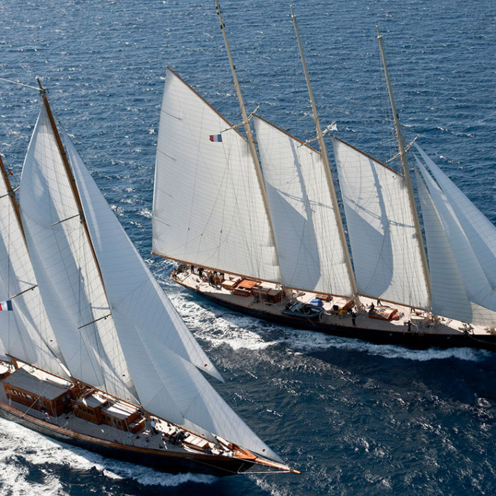 Les voiles de St Tropez